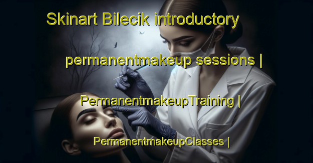 Skinart Bilecik introductory permanentmakeup sessions | PermanentmakeupTraining | PermanentmakeupClasses | SkinartTraining-Turkey